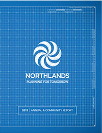 NL 2015 Annual Report